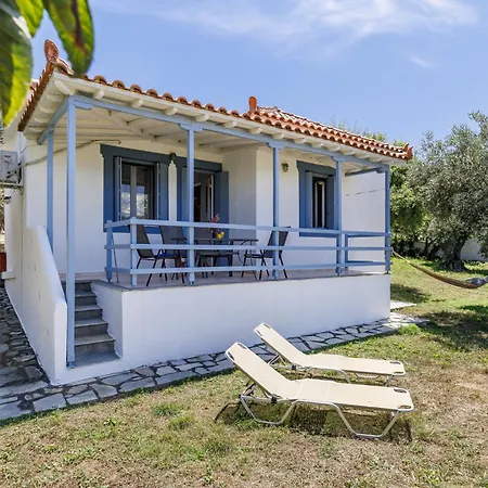 Appartement Anesis 1 *